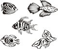 Set of black and white tropical fish Royalty Free Stock Photo