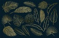 Set of black and white tropical leaves and feathers set on white background, vector sketch outline illustration Royalty Free Stock Photo