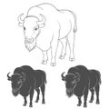 Set of black and white vector images with a bison. Royalty Free Stock Photo