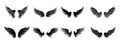 Set of black wings icons. Badges with wings. Collection badges with wings in flat style. Royalty Free Stock Photo