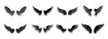 Set of black wings icons. Badges with wings. Collection badges with wings in flat style. Royalty Free Stock Photo