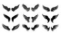 Set of black wings icons. Badges with wings. Collection badges with wings in flat style. Royalty Free Stock Photo