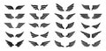 Set of black wings icons. Wings badges. Collection wings badges. Vector illustration.