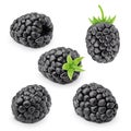 Set of blackberries isolated on a white.