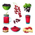 Set of blackcurrant and redcurrant berry products Royalty Free Stock Photo