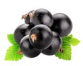 Set of blackcurrants isolated on white background. Clipping path