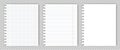 Set of blank copy book sheets with torn edges. Mockup or template of graph notepad pages for your text.