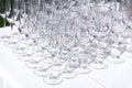 Set of blank empty wine glasses displayed in rows. Preparation for the holiday