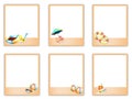 Set of Blank Photos with Beach Item Pictures Royalty Free Stock Photo