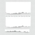Set of blank Torn paper sheets. Vector note pieces collection with sticky tape Royalty Free Stock Photo