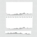 Set of blank Torn paper sheets. Vector note pieces collection with sticky tape