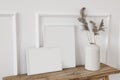Set of blank white picture frame mockups. Vase with dry reed, grass on old wooden bench. Wall moulding background, trim