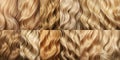 Set Blonde hair close-up. Women blonde hair, Beautifully styled wavy shiny curls. Hair coloring. Hairdressing procedures,
