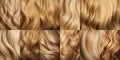 Set Blonde hair close-up. Women blonde hair, Beautifully styled wavy shiny curls. Hair coloring. Hairdressing procedures,