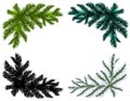 Set. Blue, black, white and green Christmas tree branches on an isolated white background. illustration Royalty Free Stock Photo