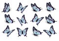 Set of blue butterflies, flying in different directions.