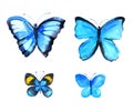 Set Of Blue Butterflies, Watercolor Illustration On White Background