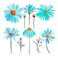 a set of blue camomile in watercolor isolated