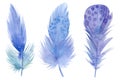 set of Blue feathers on white isolated background, watercolor illustration, hand drawing Royalty Free Stock Photo