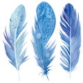 Set of blue feathers on white isolated background, watercolor illustration Royalty Free Stock Photo