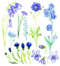 Set of blue flowers: bellflowers, violets, forget-me, cornflower Royalty Free Stock Photo