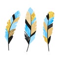 Set of blue and golden feathers. Vector illustration Royalty Free Stock Photo