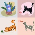 Set of blue, red, black, gray cats. Plays in houseplants with a ball of wool, eating from hand and bowl. Stickers poster Royalty Free Stock Photo