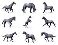 Set of blue roan horses - 3D render