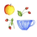 Set of teacup, strawberry and apple. Watercolor.