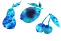 Set blue watercolor silhouettes fruit and berries on a white background Royalty Free Stock Photo