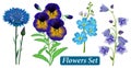 Set of blue wild flowers on a white background, vector. Royalty Free Stock Photo