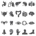 set of body parts. Vector illustration decorative design Royalty Free Stock Photo