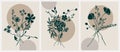 Set of Boho aesthetic botanical wall arts