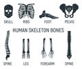 Set of bone, chest x-ray concept icon, roentgen human body image isolated on white, flat vector illustration. Skeleton part of man Royalty Free Stock Photo