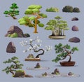 Set of bonsai Japanese trees grown in containers. Beautiful realistic tree, garden stone, plant. Bonsai tree on the box Royalty Free Stock Photo