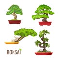 Set of bonsai Japanese trees grown in containers vector illustration Royalty Free Stock Photo