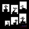 Set of Bonsai tree, silhouette of bonsai, Detailed image, Vector illustration. Royalty Free Stock Photo