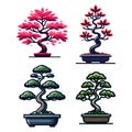 Set of bonsai tree vector illustration. Aesthetic Japanese and Chinese traditional culture bonsai and potted plants design Royalty Free Stock Photo