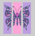 Set of bookmarks with colorful tropical butterfly.