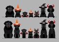 Black halloween dogs in a row