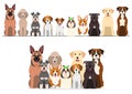 set of border and group of various breeds of dogs