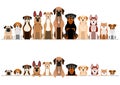 Set of brownish dogs border set