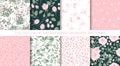 Set botanic and abstract seamless pattern with flowers and leaves, hand drawn background. Royalty Free Stock Photo