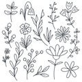 Set botanical branches, herbs and flowers hand drawn vector illustration Royalty Free Stock Photo