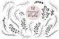 Set of botanical brushes, rustic hand drawn branches and leaves