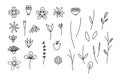 Set of botanical flower doodle elements, ornament floral hand drawn for card, Illustration,  vector Royalty Free Stock Photo