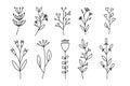 Set of botanical flower doodle elements, ornament floral hand drawn for inviation card, Illustration,  vector Royalty Free Stock Photo