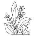 set of botanical hand sketches, botanical, herb, leaves line art, easy botanical vector art, botanical outline clipart