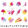 Set of 12 botanical icons. Royalty Free Stock Photo