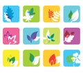 Set of 12 botanical icons. Royalty Free Stock Photo